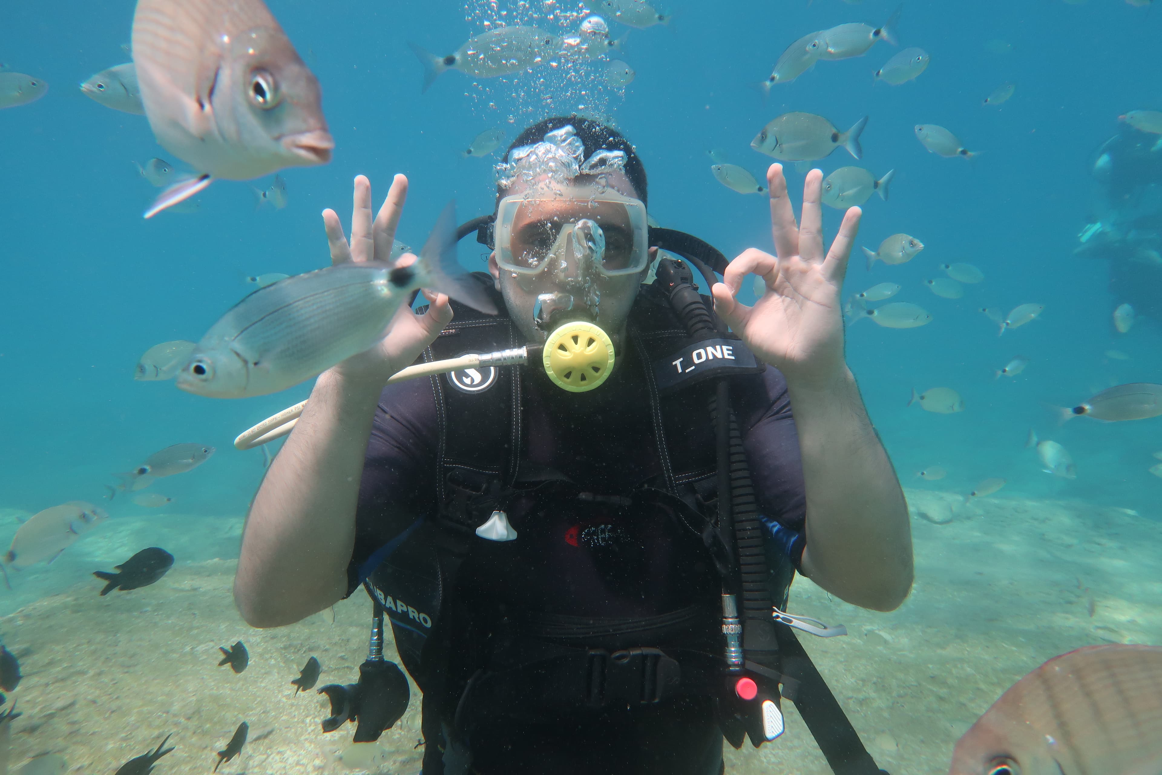 Mustafa Bedir profile photo diving
